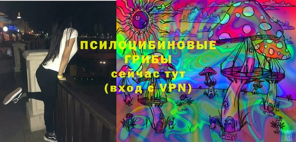PSILOCYBIN Абдулино
