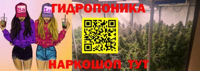 прущие крисы Комсомольск-на-Амуре