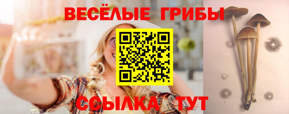 Псилоцибиновые грибы мухоморы  Вход с VPN  Кудымкар  Псилоцибиновые грибы Cubensis 