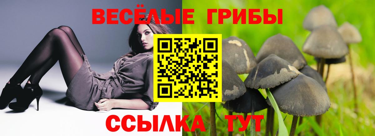 Галлюциногенные грибы прущие грибы Кудымкар